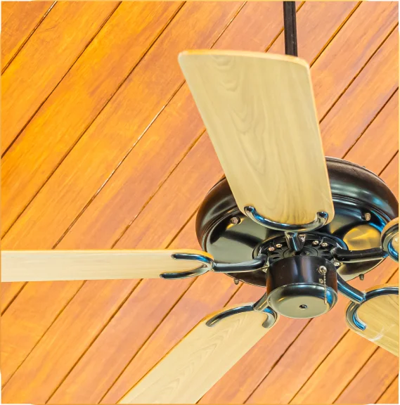 Ceiling Fan img