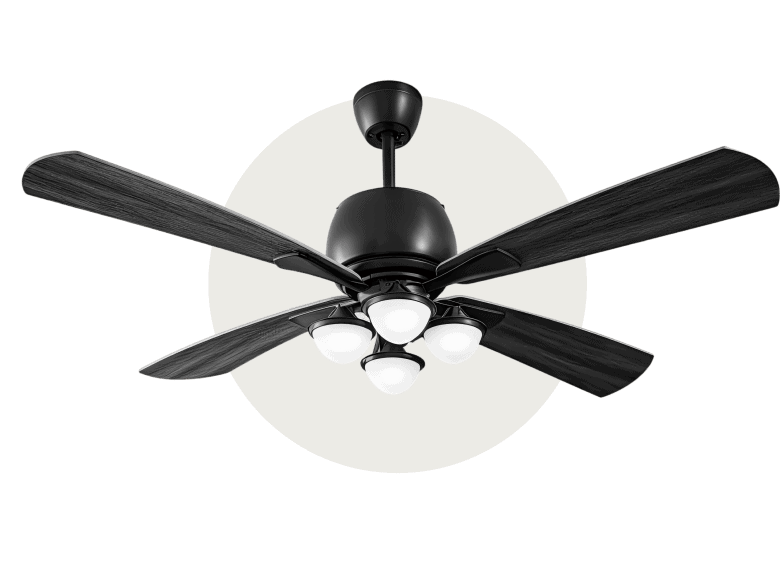Ceiling fan