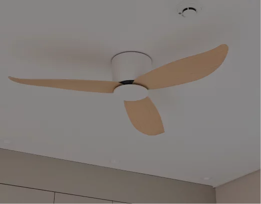 Ceiling Fan Installation