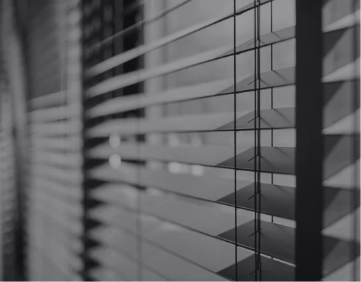 blind img 4